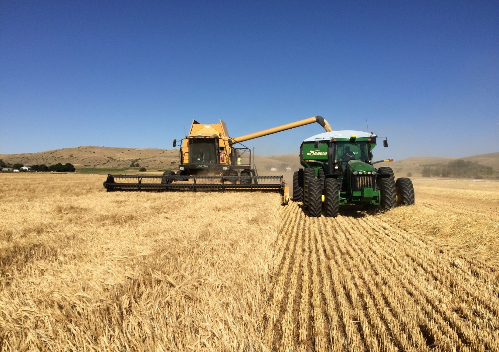 September 2023 Small Grains and Stocks Reports